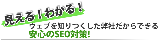 見える!わかる!ウェブを知りつくした弊社だからできる、安心のSEO対策!