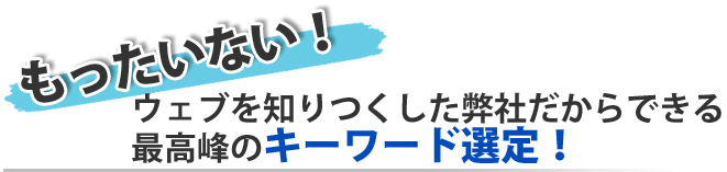 もったいない!ウェブを知りつくした弊社だからできる、最高峰のキーワード選定!
